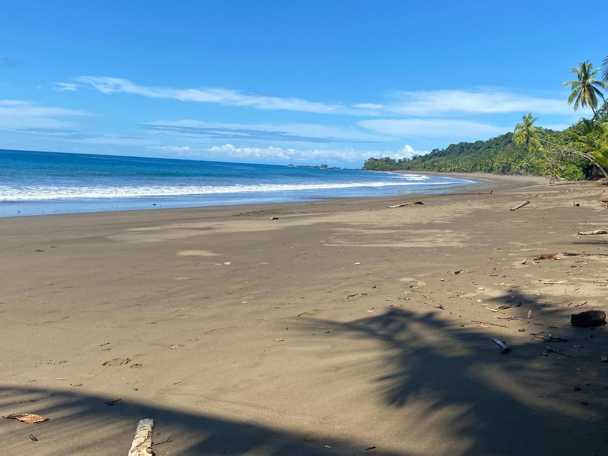 Cabinas Vista Isla Del Cano Corcovado Drake Bay Exterior photo